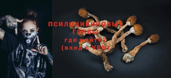 прущая мука Белокуриха