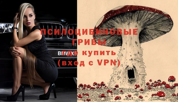 крисы Беломорск