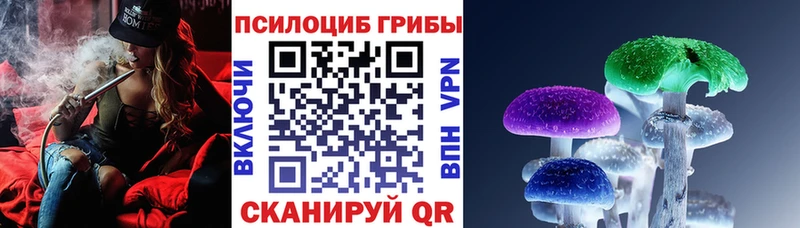 Галлюциногенные грибы Psilocybe Гремячинск